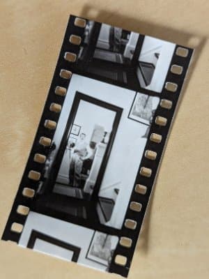The Darkroom Dispatch