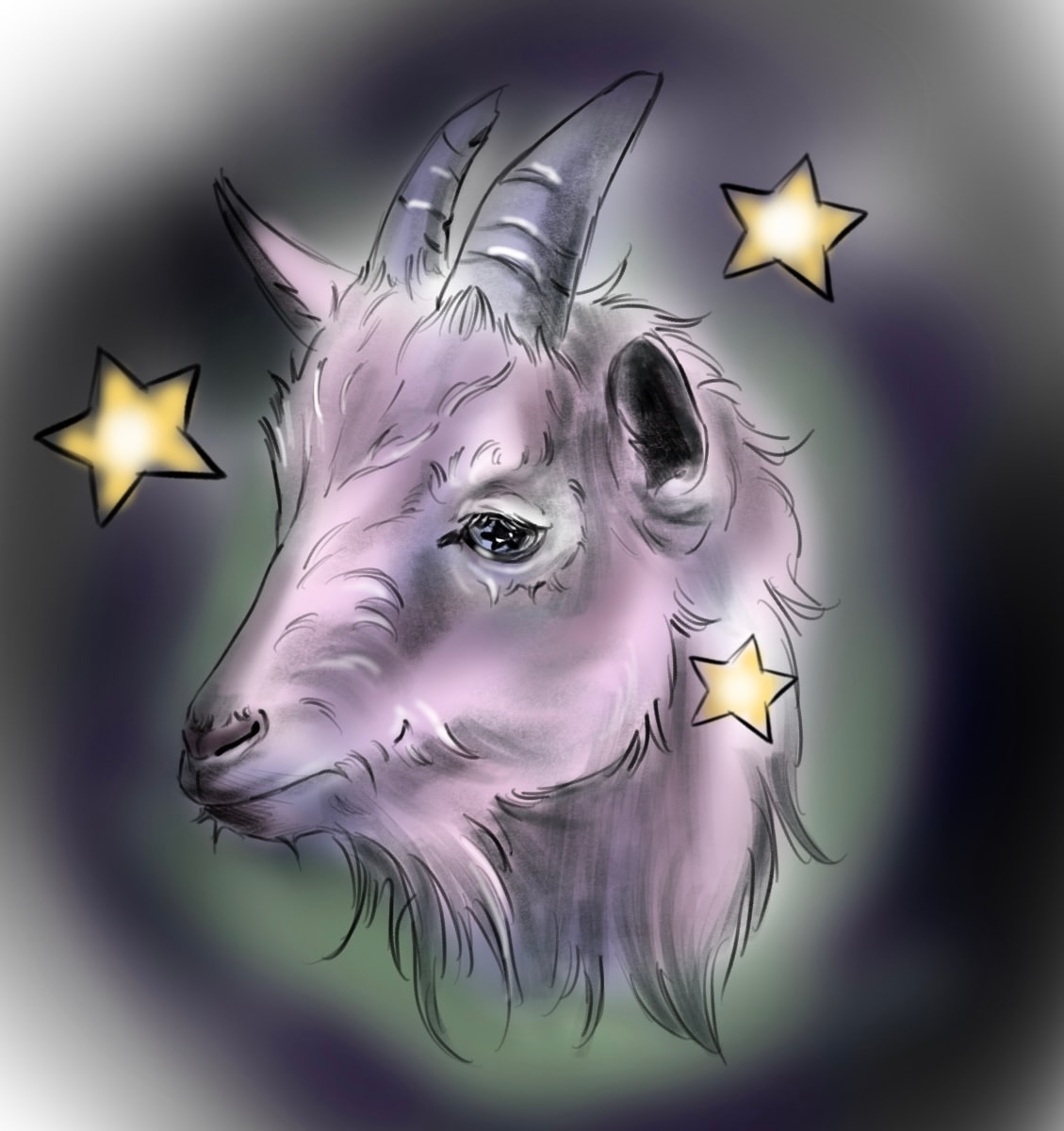 The Starry-eyed Goat