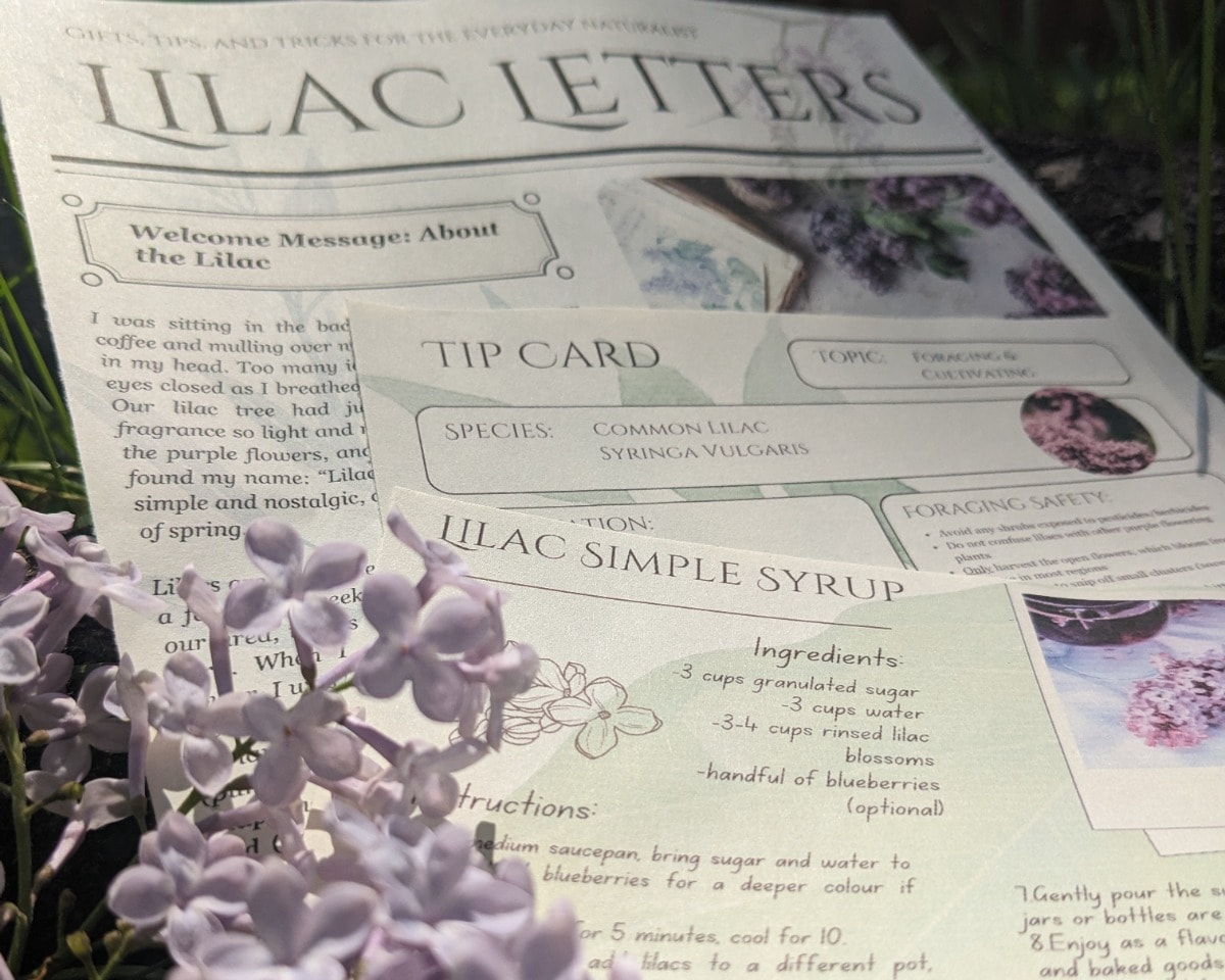 Letter Club