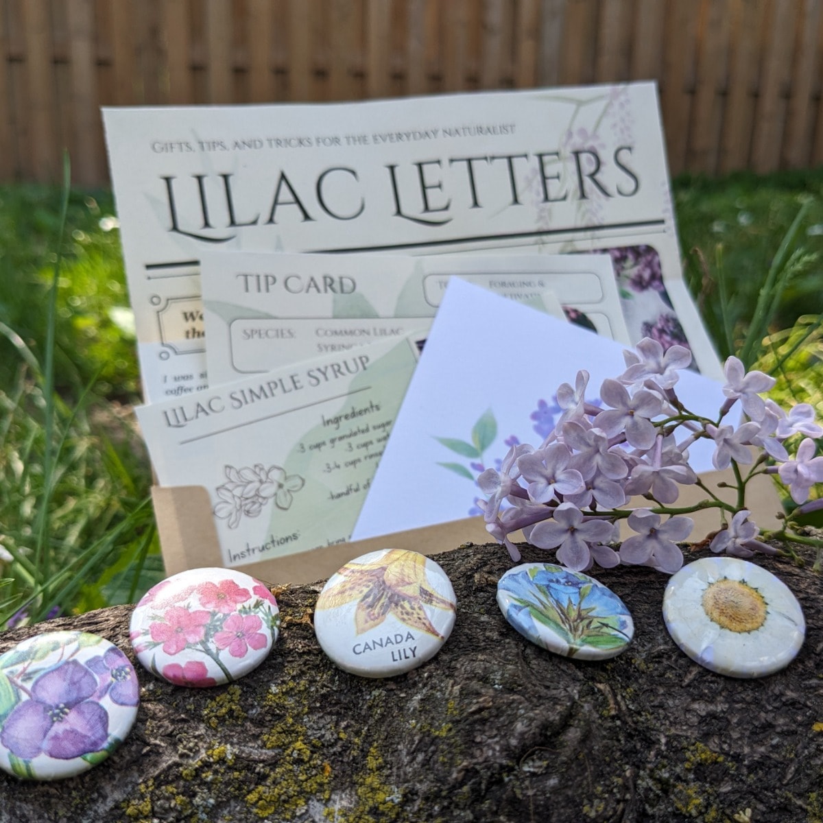 Postcard & Button Club