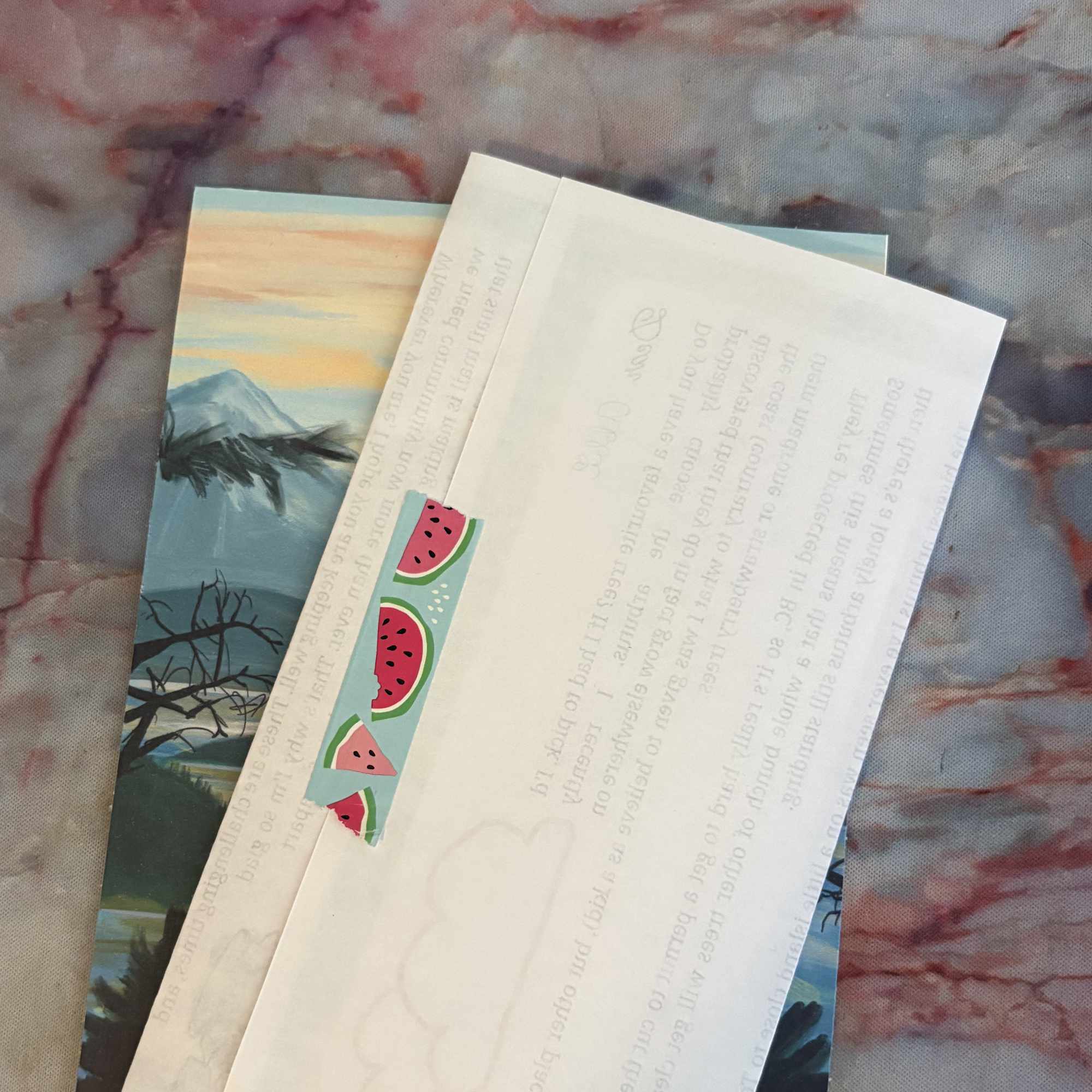 Snail Mail Lite