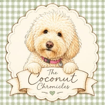 The Coconut Chronicles