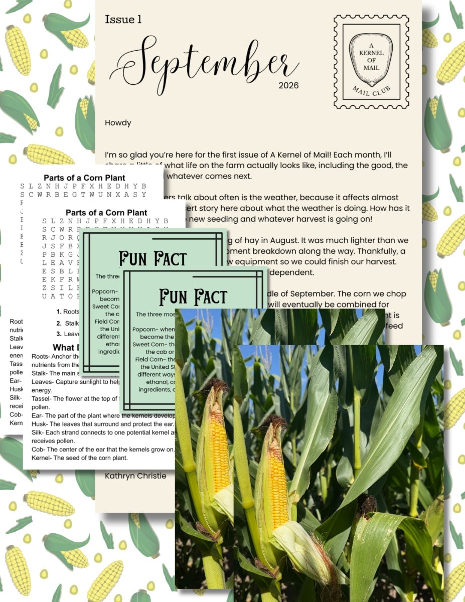 Monthly Mail 2 Activity Sets