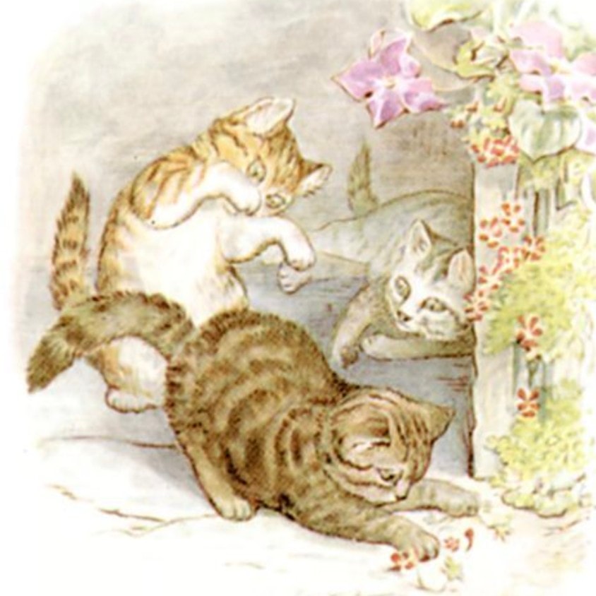 Postcard Club