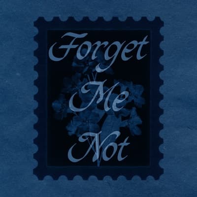 Forget me not