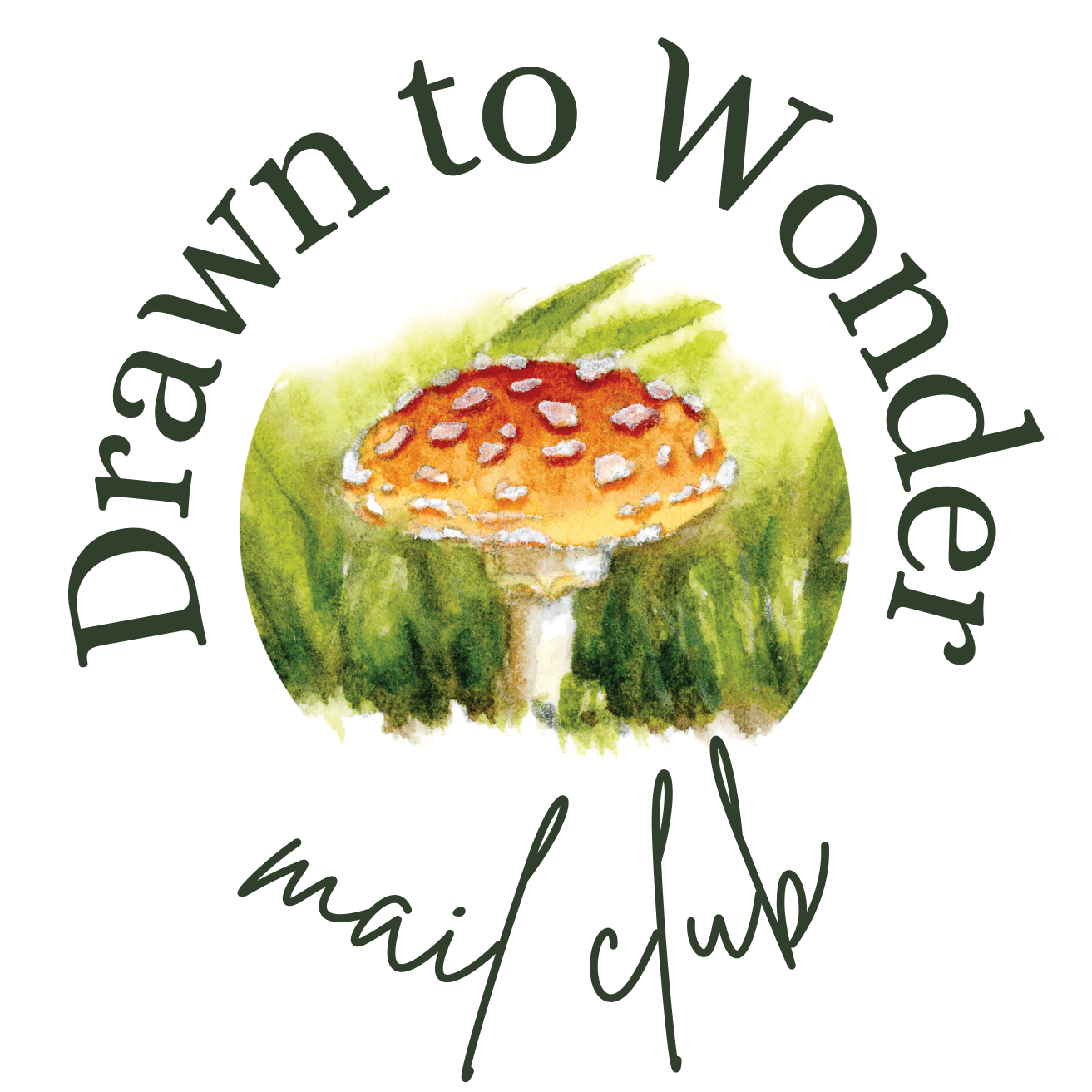 Drawn to Wonder