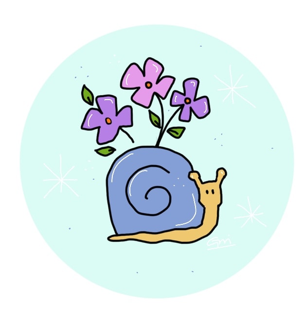 El caracol en español