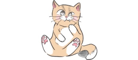 Purrfect Package