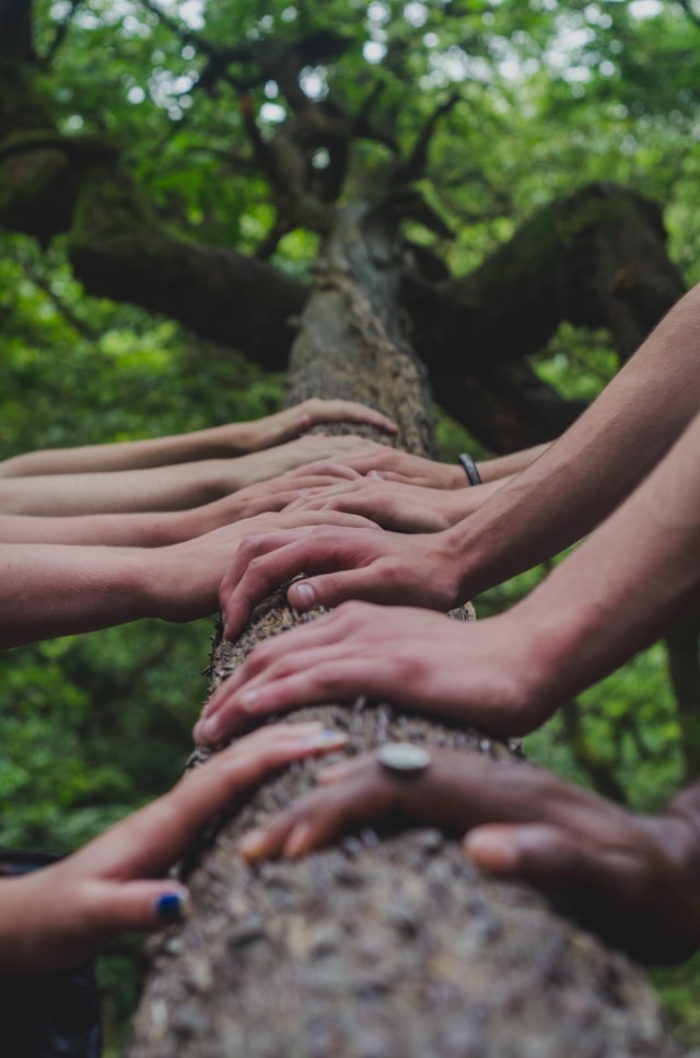 The Story Medicine Circle